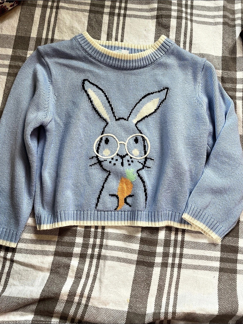 Kids Blue & Yellow Bunny Sweater Like New